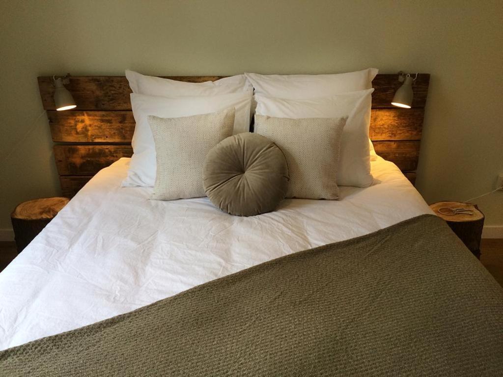 B&B Het Klontje Vriescheloo Ngoại thất bức ảnh